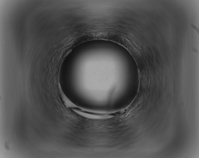 X0000097591345200803071311