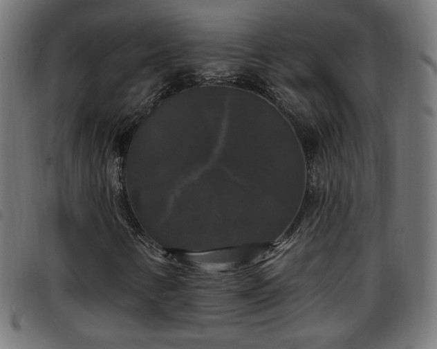 X0000097591346200803071311