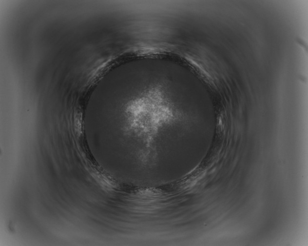 X0000097591348200803071311