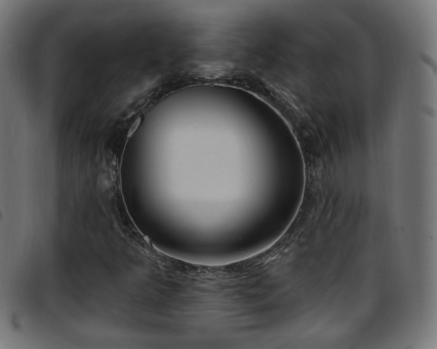 X0000097591349200803071311