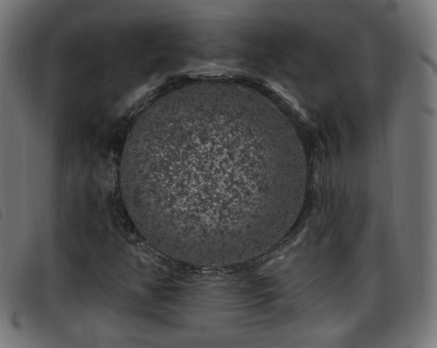 X0000097591350200803071311