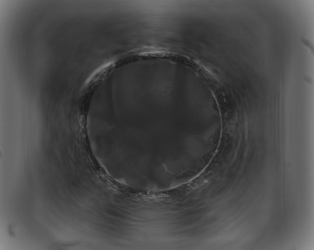 X0000097591351200803071311