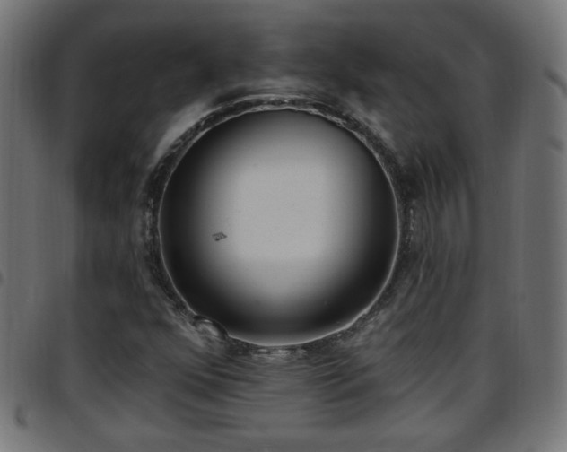 X0000097591352200803071311