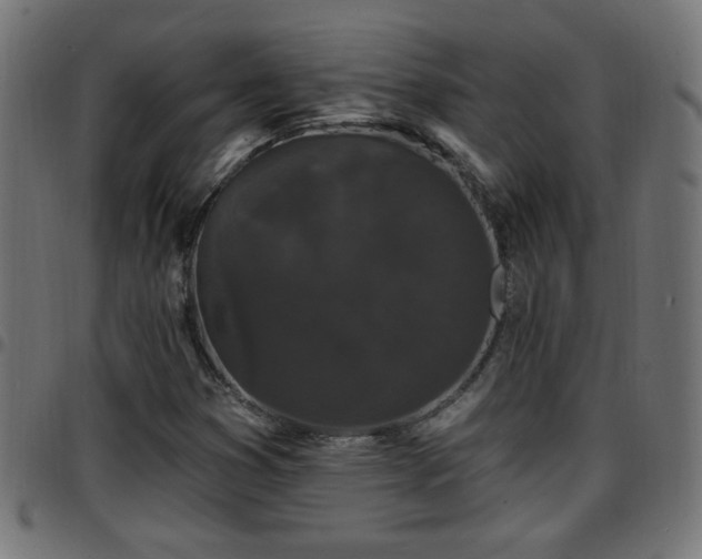 X0000097591353200803071311