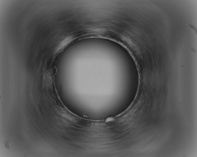 X0000097591354200803071311