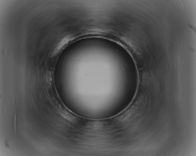 X0000097591355200803071311