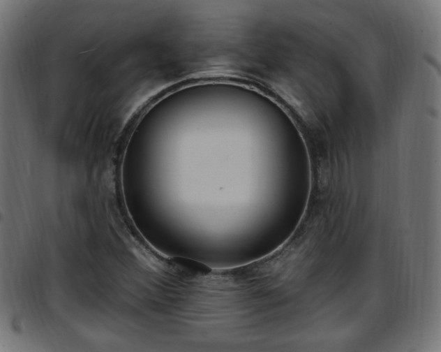 X0000097591356200803071311