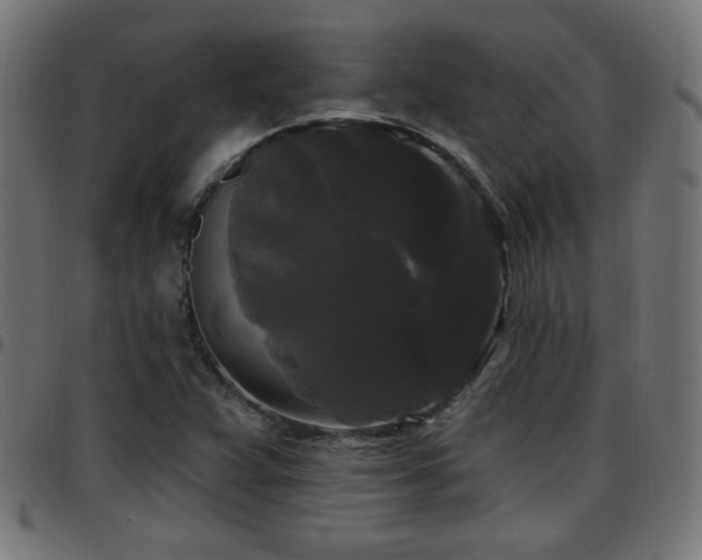 X0000097591359200803071311