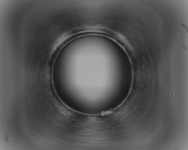 X0000097591360200803071311