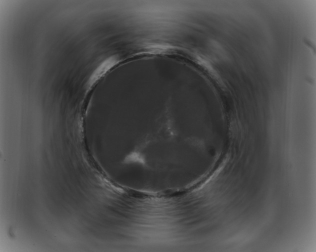 X0000097591362200803071311