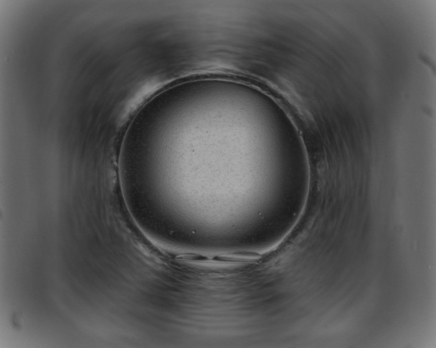 X0000097591363200803071311