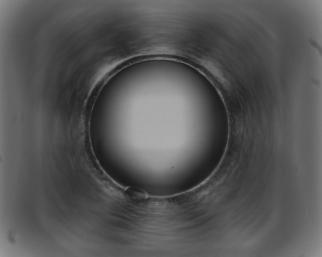 X0000097591364200803071311