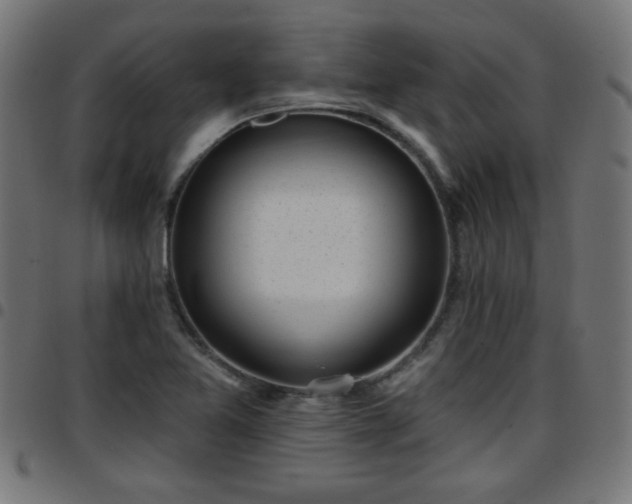 X0000097591365200803071311