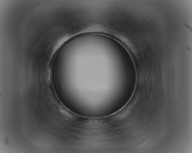 X0000097591366200803071311