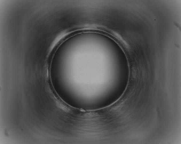 X0000097591368200803071311