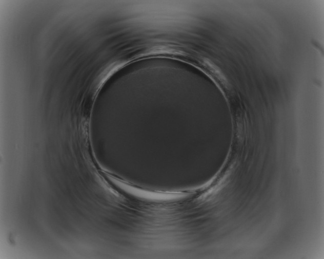 X0000097591369200803071311