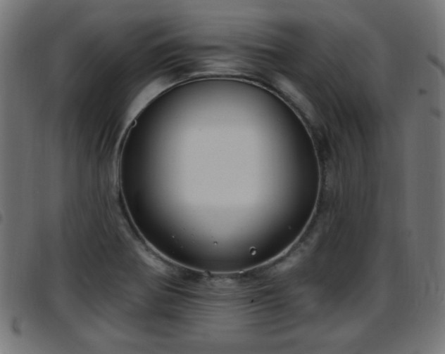 X0000097591370200803071311