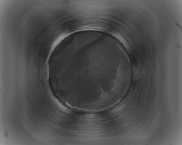 X0000097591371200803071311