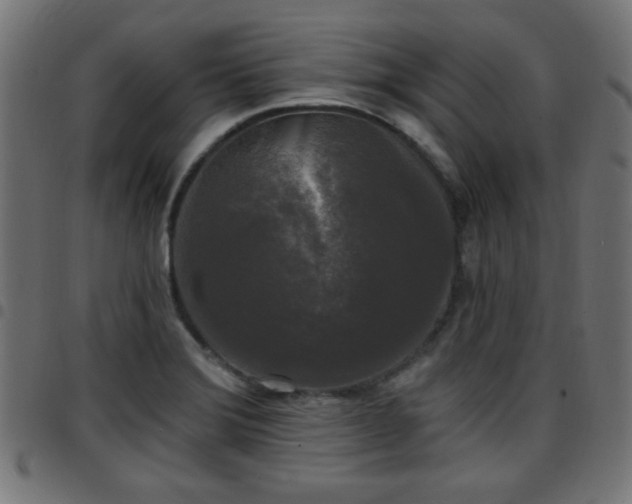 X0000097591372200803071311