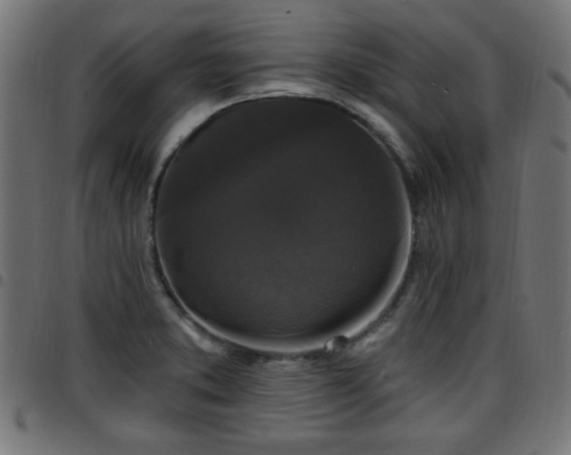 X0000097591373200803071311