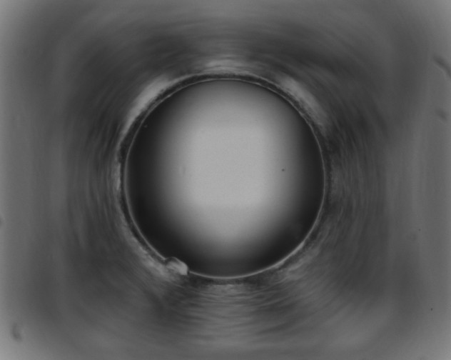 X0000097591376200803071311