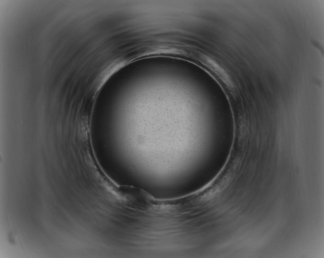 X0000097591377200803071311