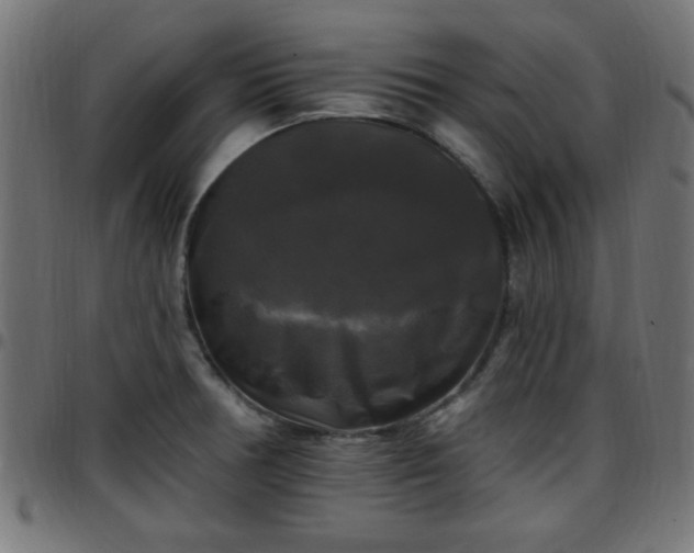 X0000097591378200803071311