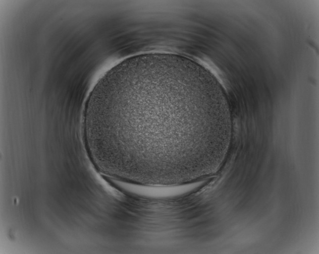 X0000097591379200803071311
