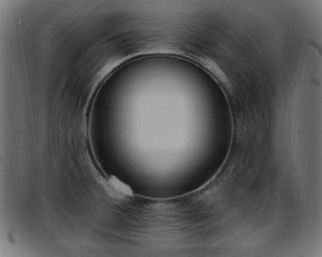 X0000097591380200803071311