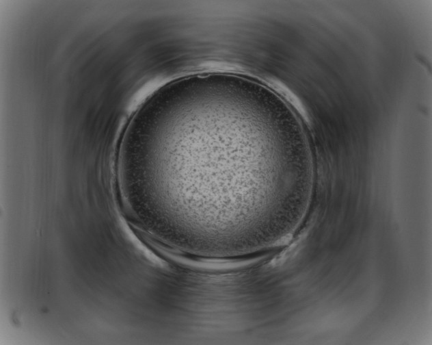 X0000097591381200803071311