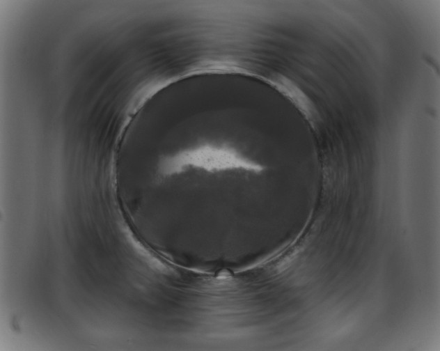 X0000097591382200803071311