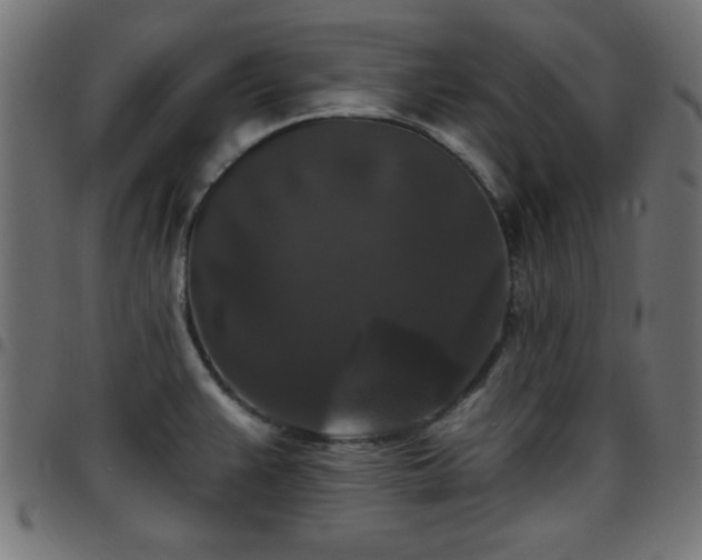 X0000097591383200803071311