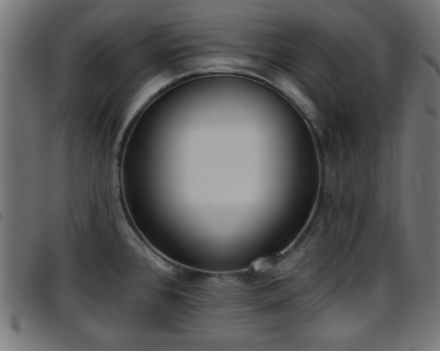 X0000097591384200803071311