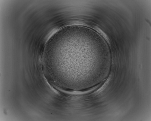 X0000097591385200803071311