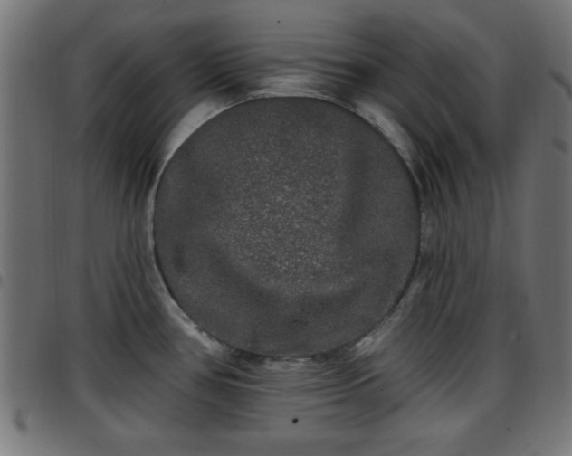 X0000097591386200803071311