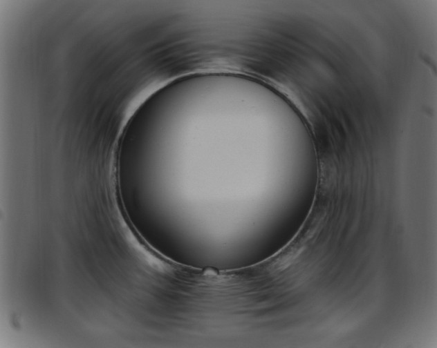 X0000097591387200803071311