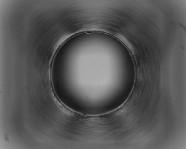 X0000097591388200803071311