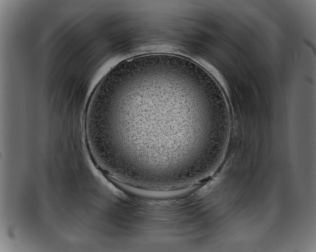 X0000097591389200803071311