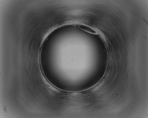 X0000097591390200803071311