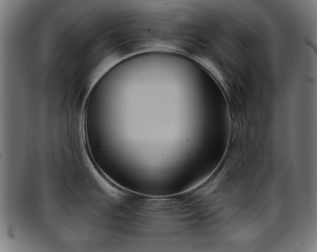 X0000097591391200803071311