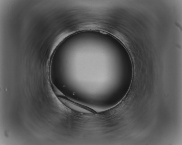 X0000097591392200803071311