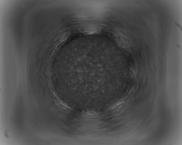 X0000097591393200803071310