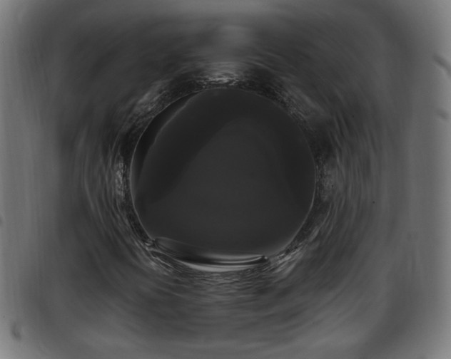 X0000097591394200803071310