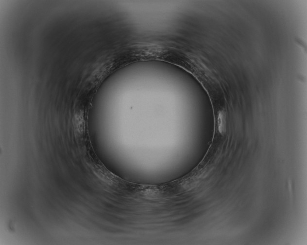 X0000097591395200803071310