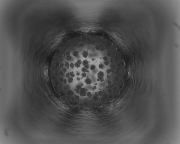 X0000097591396200803071310