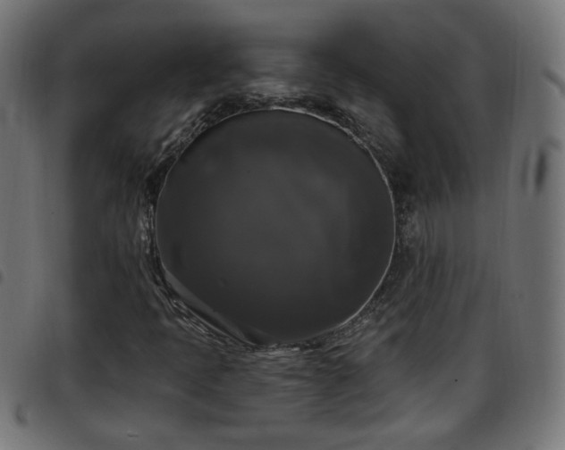 X0000097591397200803071310