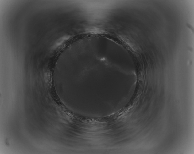 X0000097591398200803071310