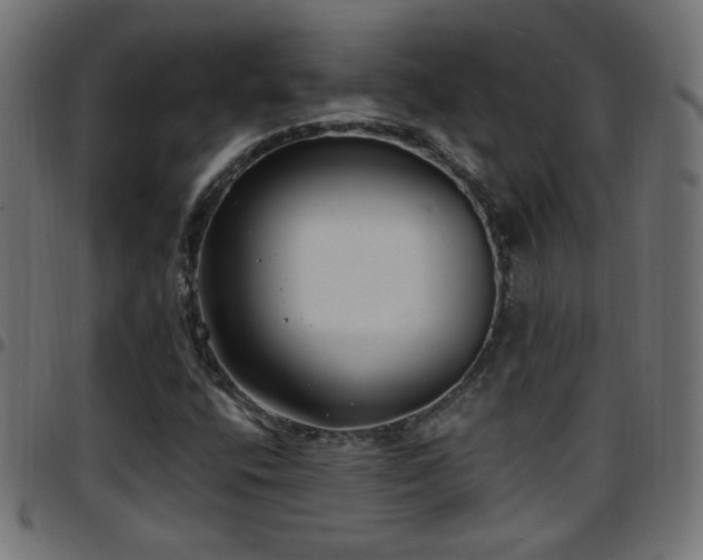 X0000097591400200803071310