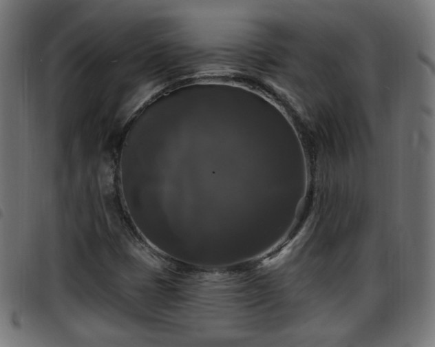 X0000097591401200803071310