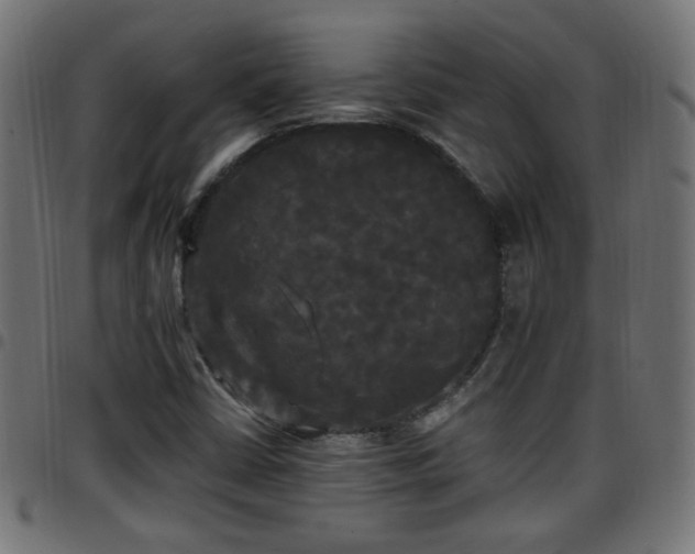 X0000097591402200803071310